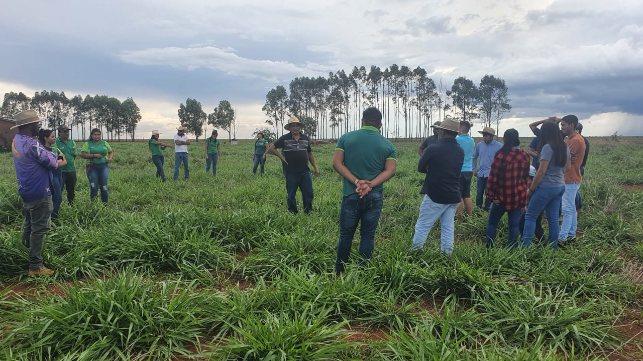 A visita técnica foi na propriedade do produtor Luiz Zenezokemae - Foto: Empaer